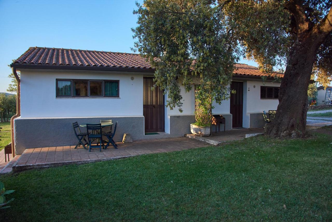 Agriturismo Tesorino Massa Marittima Zewnętrze zdjęcie