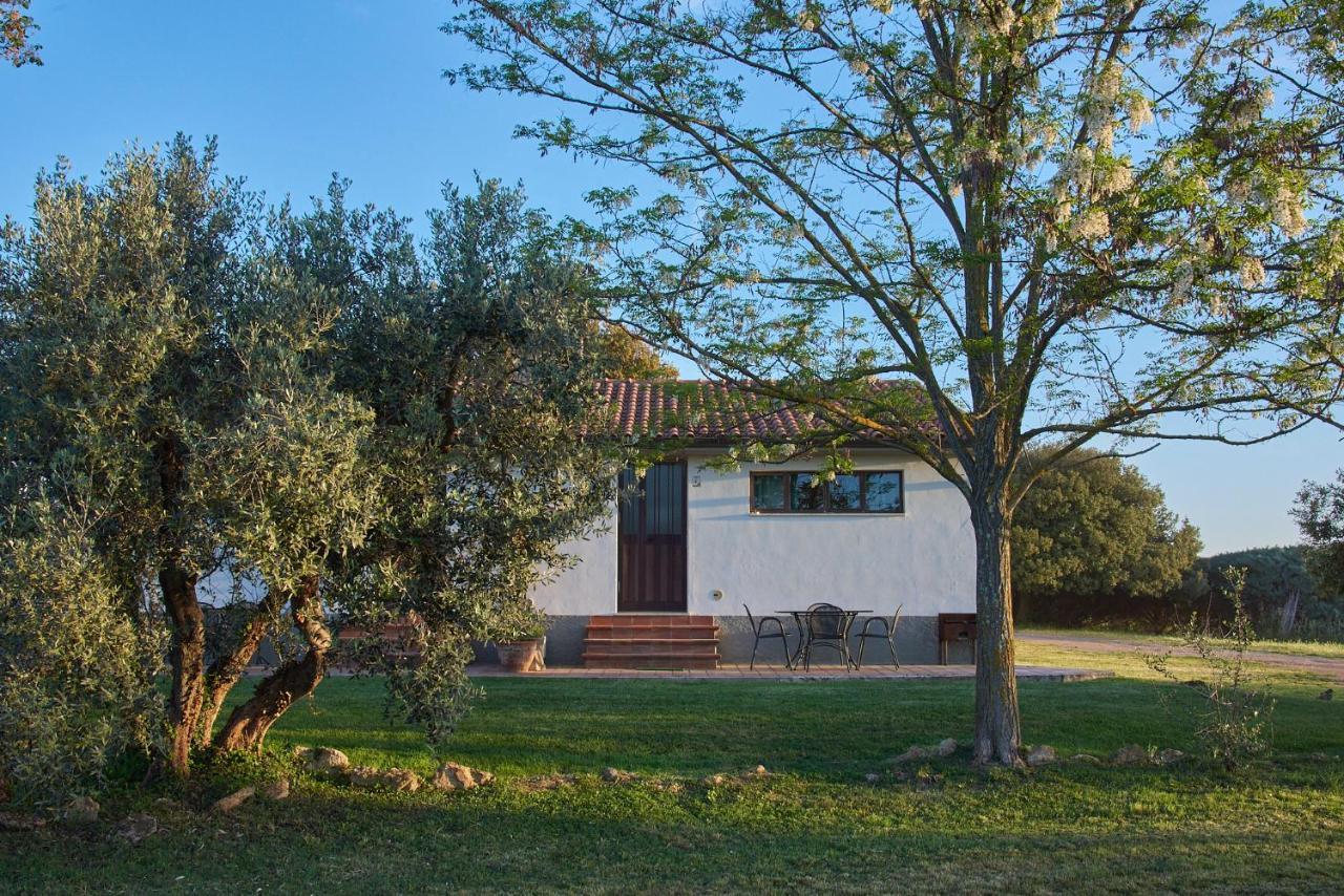 Agriturismo Tesorino Massa Marittima Zewnętrze zdjęcie