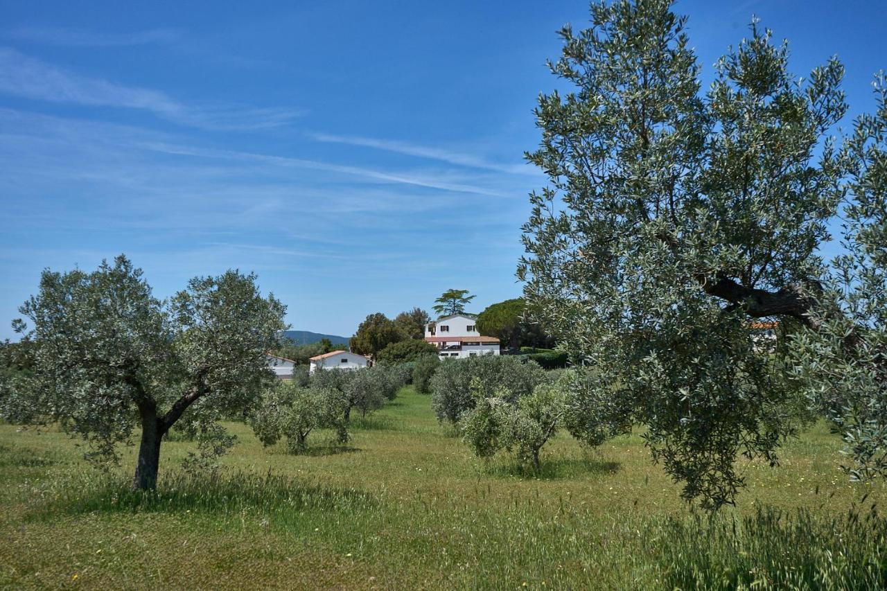 Agriturismo Tesorino Massa Marittima Zewnętrze zdjęcie