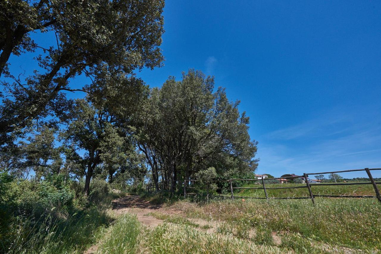 Agriturismo Tesorino Massa Marittima Zewnętrze zdjęcie