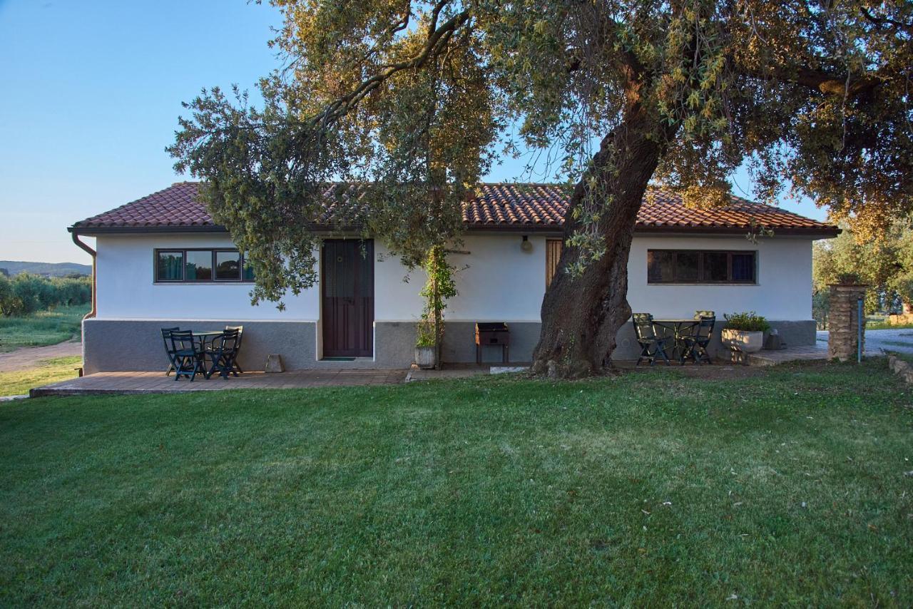 Agriturismo Tesorino Massa Marittima Zewnętrze zdjęcie